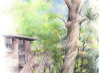 Campground, Massachusetts, brick building with outside stairway, large tree