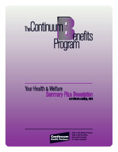 Summary plan description for employees of a hospital partnership.