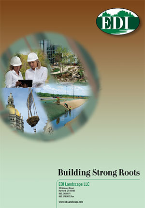 Brochure for a landscape design firm.