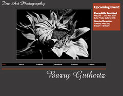 Website for a fine-art photographer