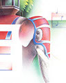 E is for Elephant