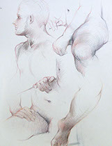 Male nude figure drawings, details: Derwent Studio Pencils